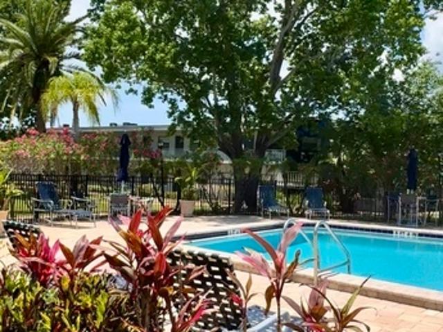 Apartment for rent in Safety Harbor, Florida