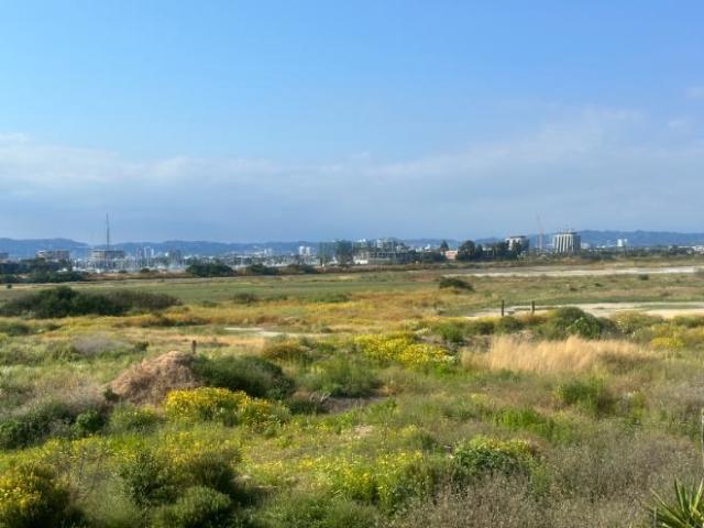 Condo for rent in Playa Del Rey Condo for rent in Playa Del Rey