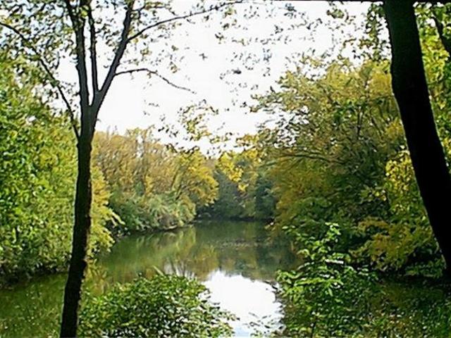 Condo for rent in Lisle, Illinois