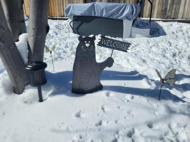 House for rent in Carson City, Nevada