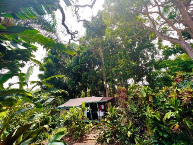 House for rent in Hawaii