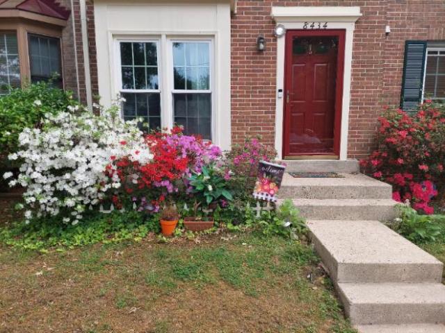 Townhouse for rent in Springfield