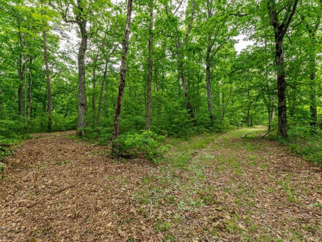 Land for sale in Tennessee