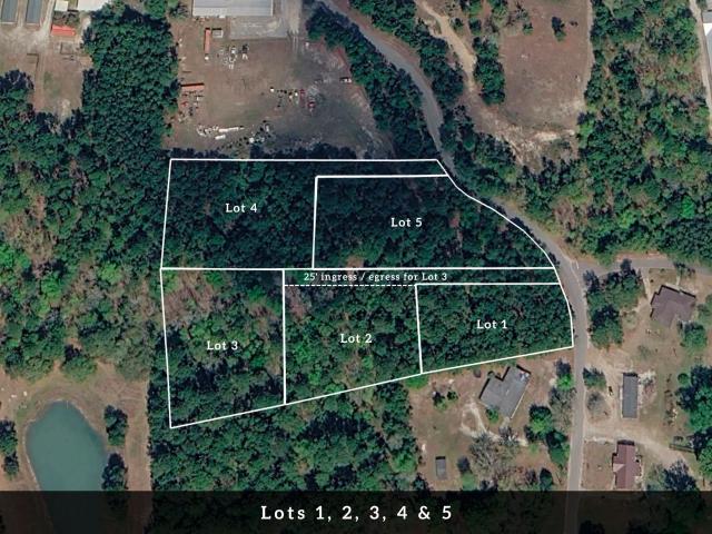 Land for sale in Eutawville, South Carolina