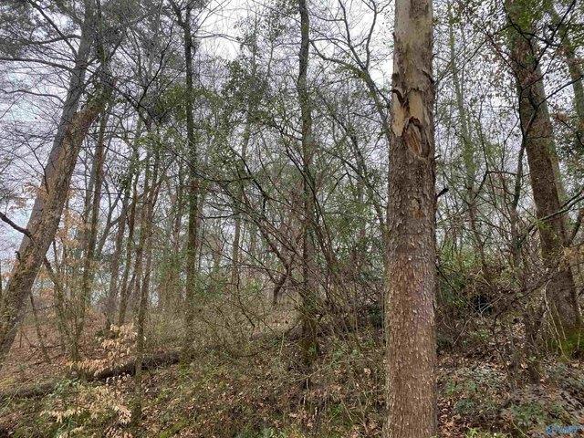 Land for sale in Danville, Alabama