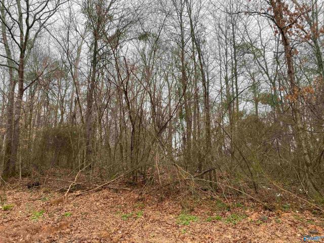 Land for sale in Danville, Alabama