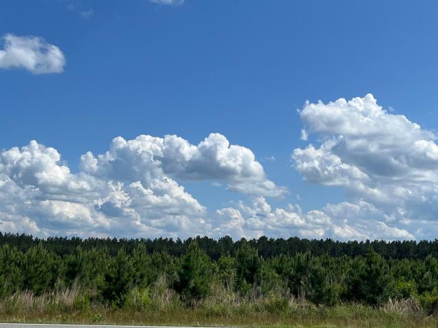 Land for sale in Hampton