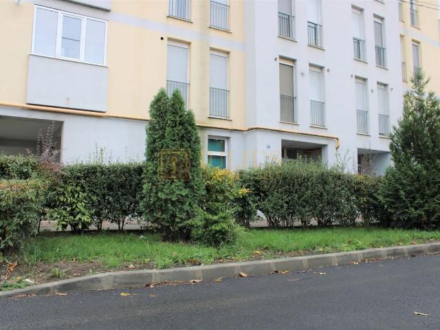 Apartament închirieri în Timisoara, Timiș