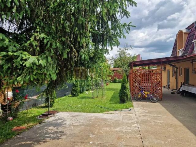 Apartament închirieri în Timisoara, Timiș