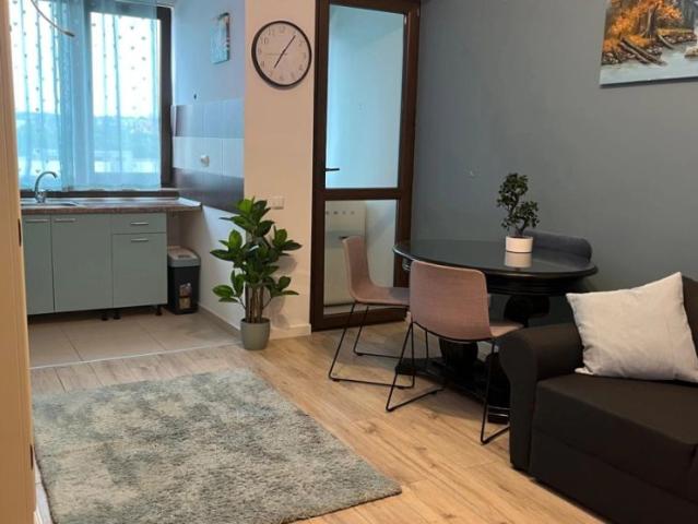 Apartament închirieri în Mircea Cel Batran, Iași