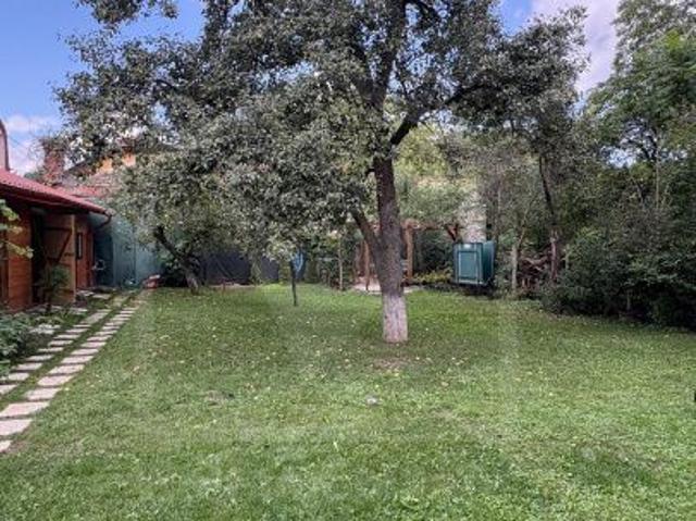 Cameră închirieri în București