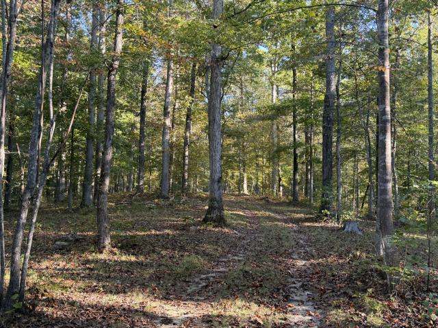 Land for sale in Fernvale, Fairview