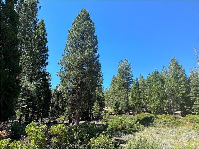 Land for sale in Modoc, California
