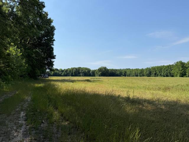 Land for sale in Tennessee