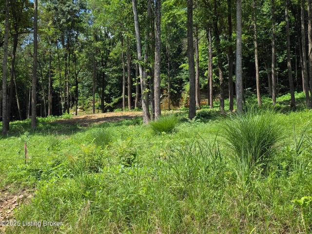 Land for sale in Kentucky