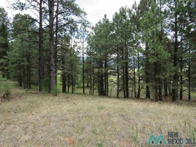 Land for sale in Rociada, San Miguel County