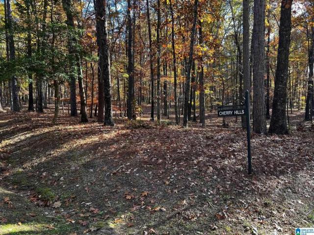 Land for sale in Birmingham Land for sale in Birmingham