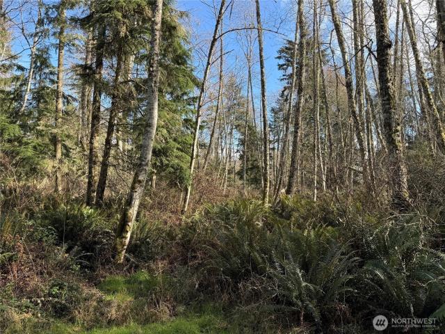 Land for sale in Washington