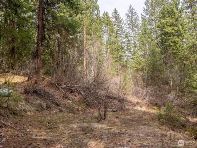 Land for sale in Leavenworth, Washington