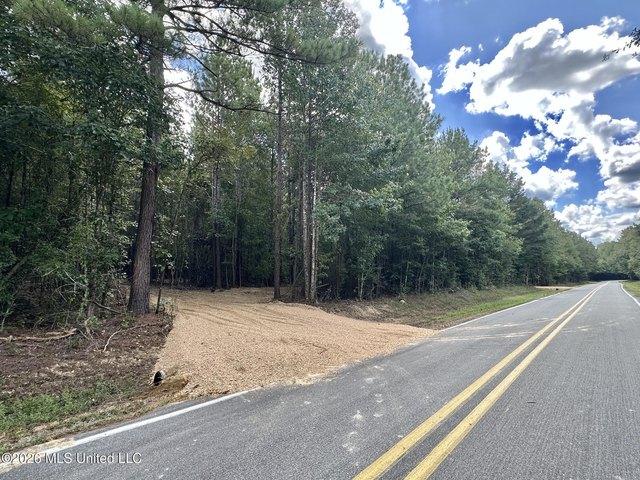 Land for sale in Braxton, Simpson County