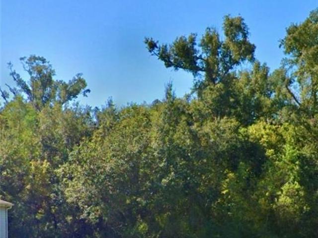 Land for sale in Louisiana