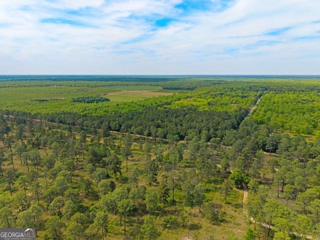 Land for sale in Dougherty, Georgia