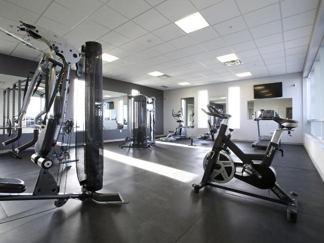 Apartment for rent in Waterloo, Ontario