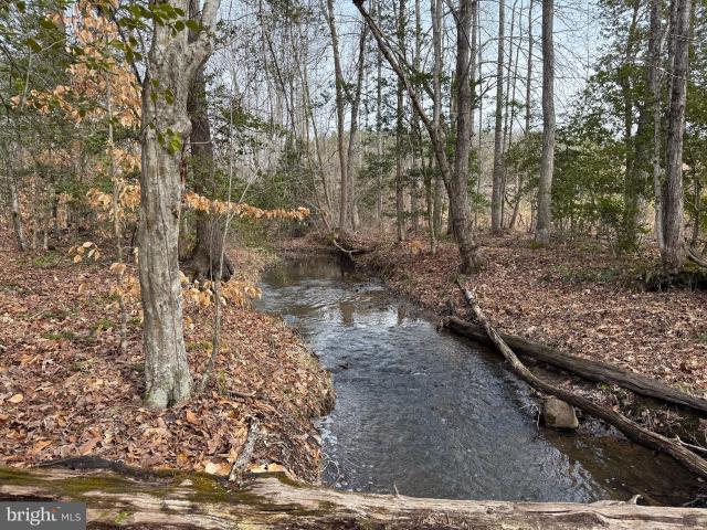 Land for sale in Virginia