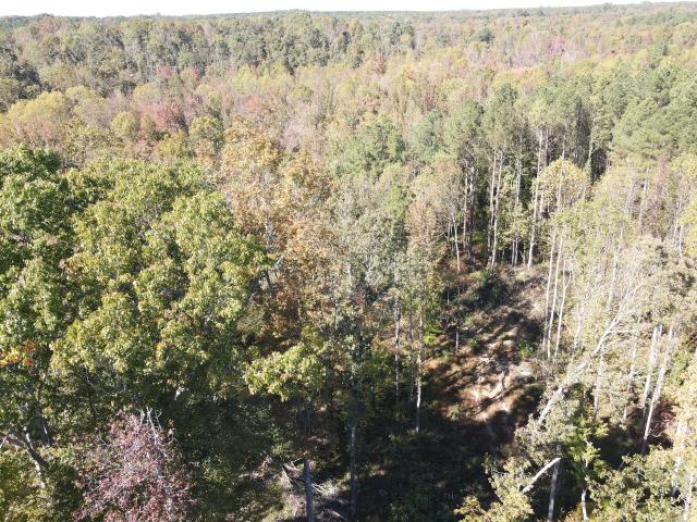 Land for sale in Tennessee