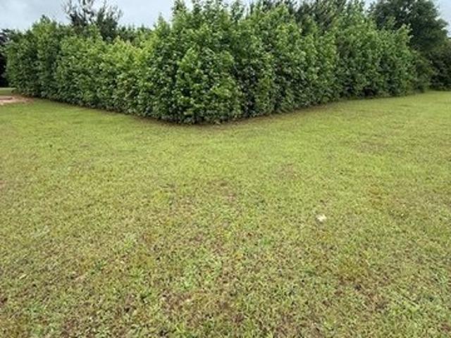 Land for sale in Autaugaville, Alabama