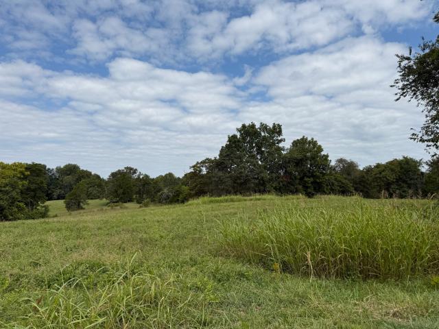 Land for sale in Tompkinsville, Kentucky