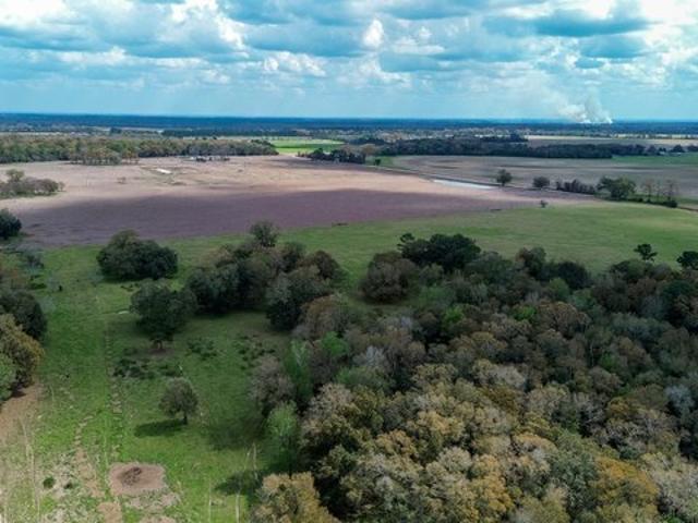 Land for sale in Colquitt, Georgia