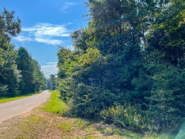 Land for sale in Hillister, Texas