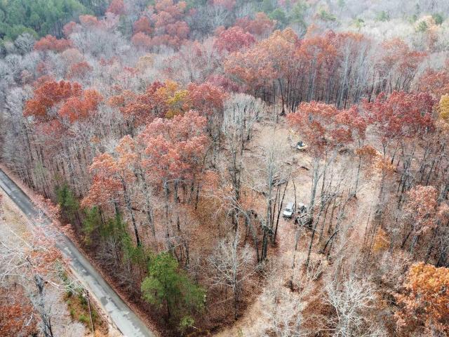 Land for sale in Cedar Bluff, Alabama