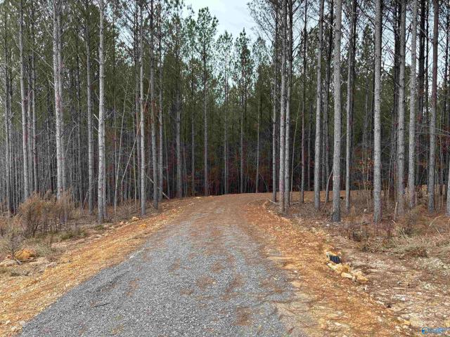 Land for sale in Centre, Alabama