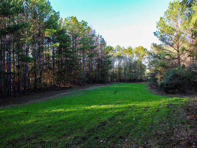 Land for sale in Lynn, Alabama