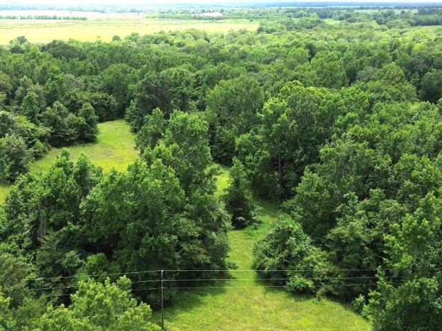 Land for sale in Crockett, Texas