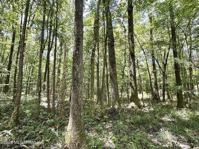 Land for sale in Enterprise, Mississippi