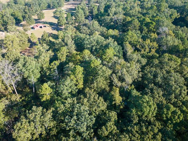 Land for sale in Titus, Texas
