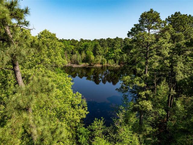 Land for sale in Camp, Texas