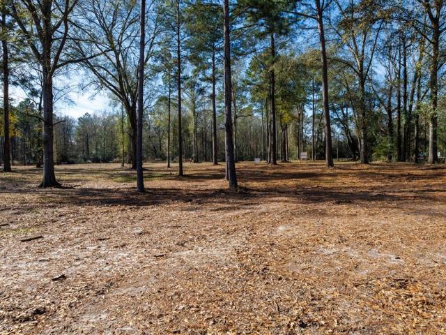 Land for sale in Shelby, Texas