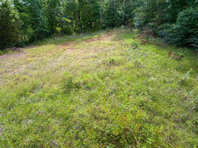 Land for sale in Henderson, Texas