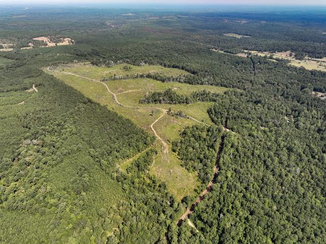 Land for sale in Colmesneil, Texas