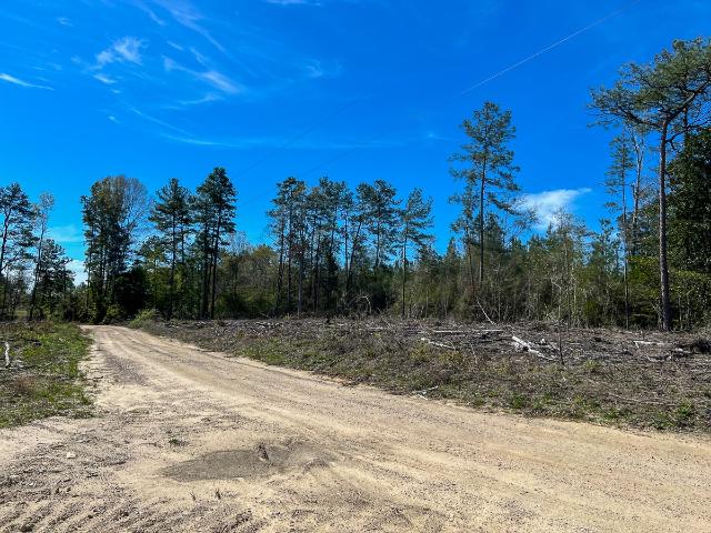 Land for sale in Jasper, Texas