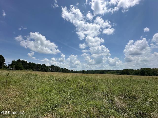 Land for sale in Philadelphia, Mississippi
