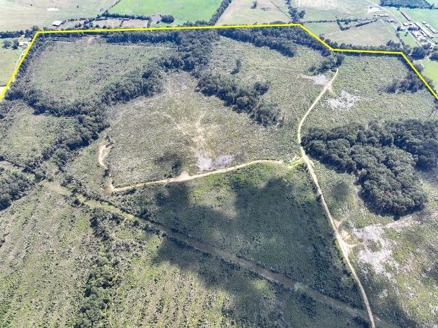Land for sale in Timpson, Texas