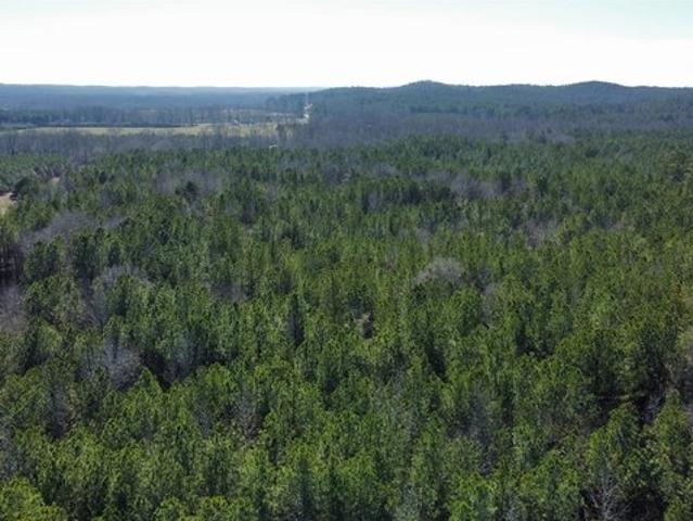 Land for sale in Fayette, Alabama