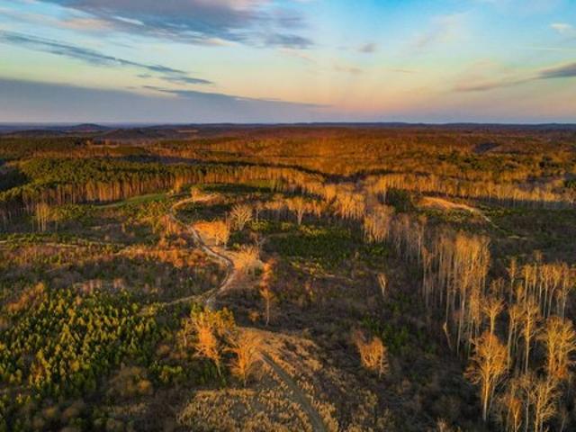 Land for sale in Phil Campbell, Alabama