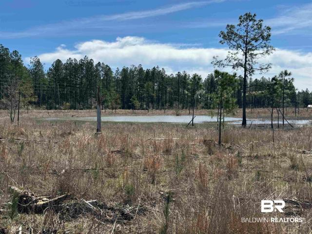 Land for sale in Robertsdale, Alabama