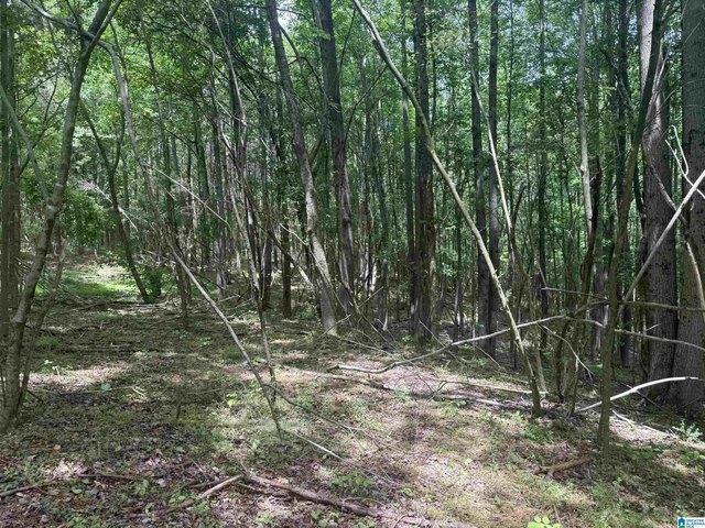 Land for sale in Ranburne, Alabama